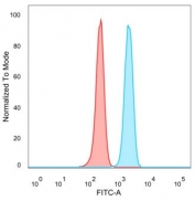Flow cytometry testing of PFA-fixed human HeLa cells with Death domain associated protein 6 antibody (clone PCRP-DAXX-6E11) followed by goat anti-mouse IgG-CF488 (blue), Red = unstained cells.