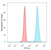 Flow cytometry testing of PFA-fixed human HeLa cells with ZSCAN12 antibody (clone PCRP-ZSCAN12-1A9) followed by goat anti-mouse IgG-CF488 (blue), Red = unstained cells.