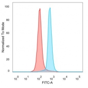 Flow cytometry testing of PFA-fixed human HeLa cells with TFAP2A antibody (clone PCRP-TFAP2A-2C2) followed by goat anti-mouse IgG-CF488 (blue); Red = unstained cells.