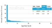 Analysis of a HuProt(TM) microarray containing more than 19,000 full-length human proteins using TFAP2A Mouse Monoclonal (PCRP-TFAP2A-2C2). Z- and S- Score: The Z-score represents the strength of a signal that a monoclonal antibody (in combination with a fluorescently-tagged anti-IgG secondary antibody) produces when binding to a particular protein on the HuProt(TM) array. Z-scores are described in units of standard deviations (SD's) above the mean value of all signals generated on that array. If targets on HuProt(TM) are arranged in descending order of the Z-score, the S-score is the difference (also in units of SD's) between the Z-score. S-score therefore represents the relative target specificity of a mAb to its intended target. A mAb is considered to specific to its intended target, if the mAb has an S-score of at least 2.5. For example, if a mAb binds to protein X with a Z-score of 43 and to protein Y with a Z-score of 14, then the S-score for the binding of that mAb to protein X is equal to 29.