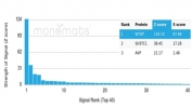 Analysis of a HuProt(TM) microarray containing more than 19,000 full-length human proteins using WT1-associated protein antibody (PCRP-WTAP-1A4). Z- and S- Score: The Z-score represents the strength of a signal that a monoclonal antibody (in combination with a fluorescently-tagged anti-IgG secondary antibody) produces when binding to a particular protein on the HuProt(TM) array. Z-scores are described in units of standard deviations (SD's) above the mean value of all signals generated on that array. If targets on HuProt(TM) are arranged in descending order of the Z-score, the S-score is the difference (also in units of SD's) between the Z-score. S-score therefore represents the relative target specificity of a mAb to its intended target. A mAb is considered to specific to its intended target, if the mAb has an S-score of at least 2.5. For example, if a mAb binds to protein X with a Z-score of 43 and to protein Y with a Z-score of 14, then the S-score for the binding of that mAb to protein X is equal to 29.