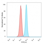 Flow cytometry testing of PFA-fixed human HeLa cells with WT1-associated protein antibody (clone PCRP-WTAP-1A4) followed by goat anti-mouse IgG-CF488 (blue); Red = unstained cells.