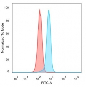 Flow cytometry testing of PFA-fixed human HeLa cells with GTF2I antibody (clone PCRP-GTF2I-1A7) followed by goat anti-mouse IgG-CF488 (blue); Red = unstained cells.