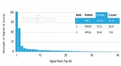 Analysis of a HuProt(TM) microarray containing more than 19,000 full-length human proteins using Deleted in breast cancer 2 antibody (clone DBC2/4570). Z- and S- Score: The Z-score represents the strength of a signal that a monoclonal antibody (in combination with a fluorescently-tagged anti-IgG secondary antibody) produces when binding to a particular protein on the HuProt(TM) array. Z-scores are described in units of standard deviations (SD's) above the mean value of all signals generated on that array. If targets on HuProt(TM) are arranged in descending order of the Z-score, the S-score is the difference (also in units of SD's) between the Z-score. S-score therefore represents the relative target specificity of a mAb to its intended target. A mAb is considered to specific to its intended target, if the mAb has an S-score of at least 2.5. For example, if a mAb binds to protein X with a Z-score of 43 and to protein Y with a Z-score of 14, then the S-score for the binding of that mAb to protein X is equal to 29.