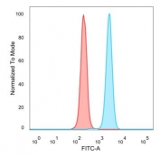 Flow cytometry testing of PFA-fixed human HeLa cells with GATA4 antibody (clone PCRP-GATA4-1A7) followed by goat anti-mouse IgG-CF488 (blue); Red = unstained cells.