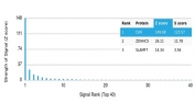 Analysis of a HuProt(TM) microarray containing more than 19,000 full-length human proteins using Carbonic Anhydrase IX antibody (clone CA9/4019). Z- and S- Score: The Z-score represents the strength of a signal that a monoclonal antibody (in combination with a fluorescently-tagged anti-IgG secondary antibody) produces when binding to a particular protein on the HuProt(TM) array. Z-scores are described in units of standard deviations (SD's) above the mean value of all signals generated on that array. If targets on HuProt(TM) are arranged in descending order of the Z-score, the S-score is the difference (also in units of SD's) between the Z-score. S-score therefore represents the relative target specificity of a mAb to its intended target. A mAb is considered to specific to its intended target, if the mAb has an S-score of at least 2.5. For example, if a mAb binds to protein X with a Z-score of 43 and to protein Y with a Z-score of 14, then the S-score for the binding of that mAb to protein X is equal to 29.