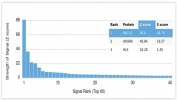Analysis of HuProt(TM) microarray containing more than 19,000 full-length human proteins using BACH2 antibody (clone PCRP-BACH2-5B11). These results demonstrate the foremost specificity of the PCRP-BACH2-5B11 mAb. Z- and S- score: The Z-score represents the strength of a signal that an antibody (in combination with a fluorescently-tagged anti-IgG secondary Ab) produces when binding to a particular protein on the HuProt(TM) array. Z-scores are described in units of standard deviations (SD's) above the mean value of all signals generated on that array. If the targets on the HuProt(TM) are arranged in descending order of the Z-score, the S-score is the difference (also in units of SD's) between the Z-scores. The S-score therefore represents the relative target specificity of an Ab to its intended target.