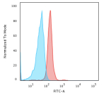 Flow Cytometric Analysis of PFA-fixed HeLA cells using p53 Recombinant Mouse Monoclonal Antibody (rTP53/3780) followed by goat anti-mouse IgG-CF488 (red); isotype control (blue).