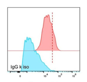 Flow cytometric analysis of Folate receptor alpha expression in human CAPAN-2 cells. CAPAN-2 cells stained with recombinant FOLR1 antibody (clone FOLR1/13426R) show a clear rightward shift in fluorescence intensity (red) compared with the IgG isotype control (blue), indicating cell surface expression of Folate receptor alpha. Detection was performed using a fluorophore-conjugated secondary antibody, and data were acquired by flow cytometry using appropriate compensation and gating settings.
