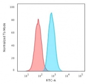 Flow cytometry testing of PFA-fixed human HeLa cells with PCNA antibody (clone PM441-1); Red=isotype control, Blue= PCNA antibody.