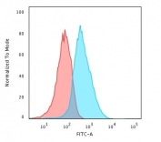 Flow cytometry testing of PFA-fixed human HepG2 cells with Glypican-3 antibody (clone SGPN3-1); Red=isotype control, Blue= Glypican-3 antibody.