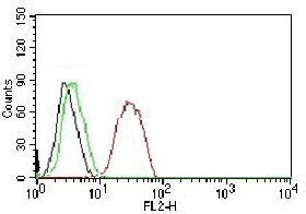 FACS testing of MCF-7 cells: Black=cells alone; Green=isotype control; Red=Estrogen Receptor beta antibody