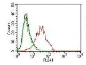 FACS testing of human MCF-7 cells: Black=cells alone; Green=isotype control; Red=<a href=../tds/estrogen-receptor-antibody-pe-conjugate-nr3ga-3-v7061pe>PE conjugated ER antibody</a>.~