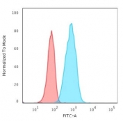 Flow cytometry testing of human Raji cells with CD19 antibody (clone CDLA19-1); Red=isotype control, Blue= CD19 antibody.
