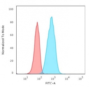 Flow cytometry testing of human Raji cells with CD19 antibody (clone CDLA19-1); Red=isotype control, Blue= CD19 an
