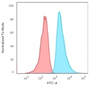 FACS staining of Raji cells with HLA-DRB1 antibody (clone MHDRb2); Red=isotype control, Blue= HLA-DRB1 antibody.