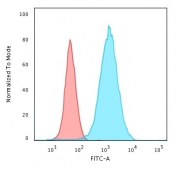 Flow cytometry testing of methanol-fixed human MCF7 cells with Cytokeratin 19 antibody (clone CTKN19-1); Red=isotype control, Blue= Cytokeratin 19 antibody.