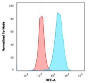 Flow cytometry testing of human K562 cells with CD43 antibody (clone CDLA43); Red=isotype control, Blue= CD43 antibody.