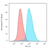 Flow cytometry testing of human Jurkat cells with Transferrin Receptor antibody (clone CDLA71); Red=isotype control, Blue= Transferrin Receptor antibody.