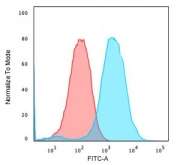 Flow cytometry testing of human MCF7 cells with CD47 antibody (clone CDLA47-1); Red=isotype control, Blue= CD47 antibody.