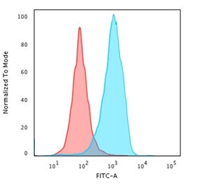 Flow cytometry testing of PFA-fixed human U-87 MG cells with CD63 antibody (clone CDLA63-1); Red=isotype control, Blue= CD63 antibody.~