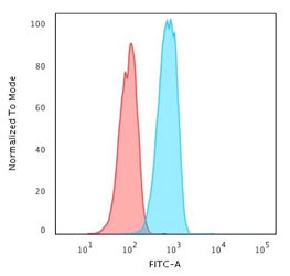 Flow cytometry testing of human Raji cells with CD74 antibody (clone CDLA74-1); Red=isotype control, Blue= CD74 antibody.~
