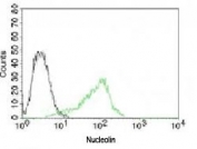 Flow cytometry testing of human 293 cells with isotype control and  Alexa Fluor 488-labeled Nucleolin antibody (green, clone NPC23-2).