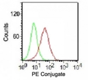 Intracellular FACS testing of K562 cells with PE conjugated Ku70 + Ku80 antibody (red) and isotype control (green).