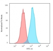 Flow cytometry testing of human Raji cells with recombinant CD20 antibody (clone IGEL/1497R); Red=isotype control, Blue= recombinant CD20 antibody.