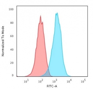 Flow cytometry testing of human Raji cells with recombinant CD20 antibody (clone IGEL/1497R)
