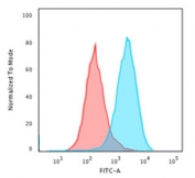 Flow cytometry testing of human Raji cells with recombinant CD20 antibody (clone RMC20-1); Red=isotype control, Blue= recombinant CD20 antibody.