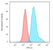 Flow cytometry testing of PFA-fixed human HeLa cells with recombinant Cytokeratin 7 antibody (clone KRT7/1499R); Red=isotype control, Blue= recombinant Cytokeratin 7 antibody.