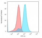 Flow cytometry testing of MeOH fixed human HepG2 cells with recombinant Glypican-3 antibody (clone GPC3/1534R); Red=isotype control, Blue= recombinant Glypican-3 antibody.