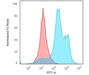 Flow cytometry testing of PFA-fixed human HeLa cells with recombinant Histone H1 antibody (clone HH1/1784R); Red=isotype control, Blue= recombinant Histone H1 antibody.