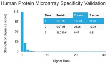 Analysis of HuProt(TM) microarray containing more than 19,000 full-length human proteins using GSTM3 antibody (clone CPTC-GSTMu3-1). These results demonstrate the foremost specificity of the CPTC-GSTMu3-1 mAb.<BR>Z- and S- score: The Z-score represents the strength of a signal that an antibody (in combinatio