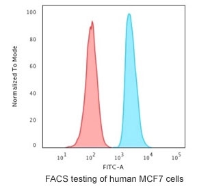 Intracellular FACS staining of human MCF7 cells with APE1 antibody (blue) and isotype control (red).