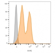 Flow cytometry testing of lymphocyte gated human PBM cells using NCAM antibody (clones 123C3.D5 + 123A8, orange) and unstained cells (gray).