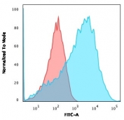 Flow cytometry testing of permeabilized human HEK293 cells with recombinant Neurofilament antibody (clone NEFL.H/2324R); Red=isotype control, Blue= recombinant Neurofilament antibody.