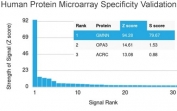 Analysis of HuProt(TM) microarray containing more than 19,000 full-length human proteins using Geminin antibody (clone CPTC-GMNN-1). These results demonstrate the foremost specificity of the CPTC-GMNN-1 mAb. Z- and S- score: The Z-score represents the strength of a signal that an antibody (in combination with a fluorescently-tagged anti-IgG secondary Ab) produces when binding to a particular protein on the HuProt(TM) array. Z-scores are described in units of standard deviations (SD's) above the mean value of all signals generated on that array. If the targets on the HuProt(TM) are arranged in descending order of the Z-score, the S-score is the difference (also in units of SD's) between the Z-scores. The S-score therefore represents the relative target specificity of an Ab to its intended target.