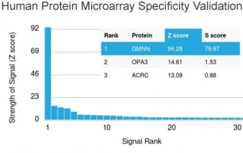 Analysis of HuProt(TM) microarray containing more than 19,000 full-length human proteins using Gemi