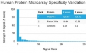 Analysis of HuProt(TM) microarray containing more than 19,000 full-length human proteins using TMEPAI antibody (clone PMEPA1/2698). These results demonstrate the foremost specificity of the PMEPA1/2698 mAb. Z- and S- score: The Z-score represents the strength of a signal that an antibody (in combination with a fluorescently-tagged anti-IgG secondary Ab) produces when binding to a particular protein on the HuProt(TM) array. Z-scores are described in units of standard deviations (SD's) above the mean value of all signals generated on that array. If the targets on the HuProt(TM) are arranged in descending order of the Z-score, the S-score is the difference (also in units of SD's) between the Z-scores. The S-score therefore represents the relative target specificity of an Ab to its intended target.