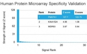 Analysis of HuProt(TM) microarray containing more than 19,000 full-length human proteins using TMEPAI antibody (clone PMEPA1/2697). These results demonstrate the foremost specificity of the PMEPA1/2697 mAb. Z- and S- score: The Z-score represents the strength of a signal that an antibody (in combination with a fluorescently-tagged anti-IgG secondary Ab) produces when binding to a particular protein on the HuProt(TM) array. Z-scores are described in units of standard deviations (SD's) above the mean value of all signals generated on that array. If the targets on the HuProt(TM) are arranged in descending order of the Z-score, the S-score is the difference (also in units of SD's) between the Z-scores. The S-score therefore represents the relative target specificity of an Ab to its intended target.