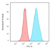 FACS testing of permeabilized human A549 cells with recombinant S100A4 antibody (blue, clone PS1A4-1R) and isotype control (red).