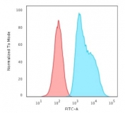 FACS testing of human HeLa cells with S100A2 antibody (blue, clone CPTC-S100A2-2) and isotype control (red).