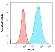 FACS testing of permeabilized human A549 cells with recombinant S100A4 antibody (blue, clone S100A4/2750R) and isotype control (red). 