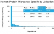 Analysis of HuProt(TM) microarray containing more than 19,000 full-length human proteins using SAT1 antibody (clone CPTC-SAT1-3). These results demonstrate the foremost specificity of the CPTC-SAT1-3 mAb. Z- and S- score: The Z-score represents the strength of a signal that an antibody (in combination with a fluorescently-tagged anti-IgG secondary Ab) produces when binding to a particular protein on the HuProt(TM) array. Z-scores are described in units of standard deviations (SD's) above the mean value of all signals generated on that array. If the targets on the HuProt(TM) are arranged in descending order of the Z-score, the S-score is the difference (also in units of SD's) between the Z-scores. The S-score therefore represents the relative target specificity of an Ab to its intended target.