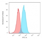Flow cytometry testing of human T98G cells with S100A4 antibody (clone CPTC-S100A4-3); Red=isotype control, Blue= S100A4 antibody.