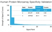 Analysis of HuProt(TM) microarray containing more than 19,000 full-length human proteins using S100A4 antibody (clone CPTC-S100A4-3). These results demonstrate the foremost specificity of the CPTC-S100A4-3 mAb.<BR>Z- and S- score: The Z-score represents the strength of a signal that an antibody (in combination with a fluorescently-tagged anti-IgG secondary Ab) produces when binding to a particular protein on the HuProt(TM) array. Z-scores are described in units of standard deviations (SD's) above the mean value of all signals generated on that array. If the targets on the HuProt(TM) are arranged in descending order of the Z-score, the S-score is the difference (also in units of SD's) between the Z-scores. The S-score therefore represents the relative target specificity of an Ab to its intended target.