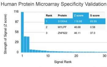 Analysis of HuProt(TM) microarray containing more than 19,000 full-length human proteins using S100A4 antibody. These results demonstrate the foremost specificity of the CPTC-S100A4-3 mAb.<BR>Z- and S- score: The Z-score represents the strength of a signal that an antibody (in combination with a fluorescently-tagged anti-IgG secondary Ab) produces when binding to a particular protein on the HuProt(TM) array. Z-scores are described in units of standard deviations (SD's) above the mean value of all signals generated on that array. If the targets on the HuProt(TM) are arranged in descending order of the Z-score, the S-score is the difference (also in units of SD's) between the Z-scores. The S-score therefore represents the relative target specificity of an Ab to its intended target.