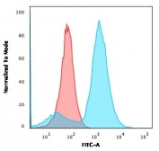 Flow cytometry testing of human A549 cells with S100A4 antibody (clone CPTC-S100A4-3); Red=isotype control, Blue= S100A4 antibody.